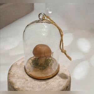 Glass Cloche Mushroom Dome